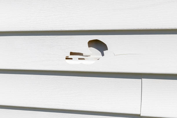 Best Siding Maintenance  in Ensley, FL