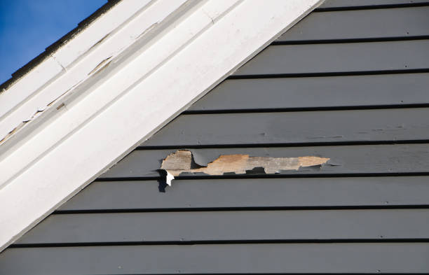 Best Siding Repair  in Ensley, FL